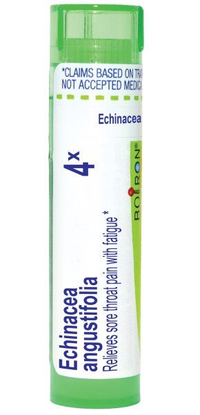 Boiron Echinacea 4X Homeopathic Single Medicine For Cough, Cold & Flu 80 Pellet