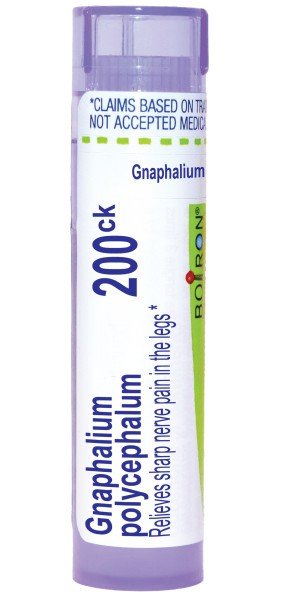 Boiron Gnaphalium Polycephalum 200CK Homeopathic Single Medicine For Pain 80 Pellet