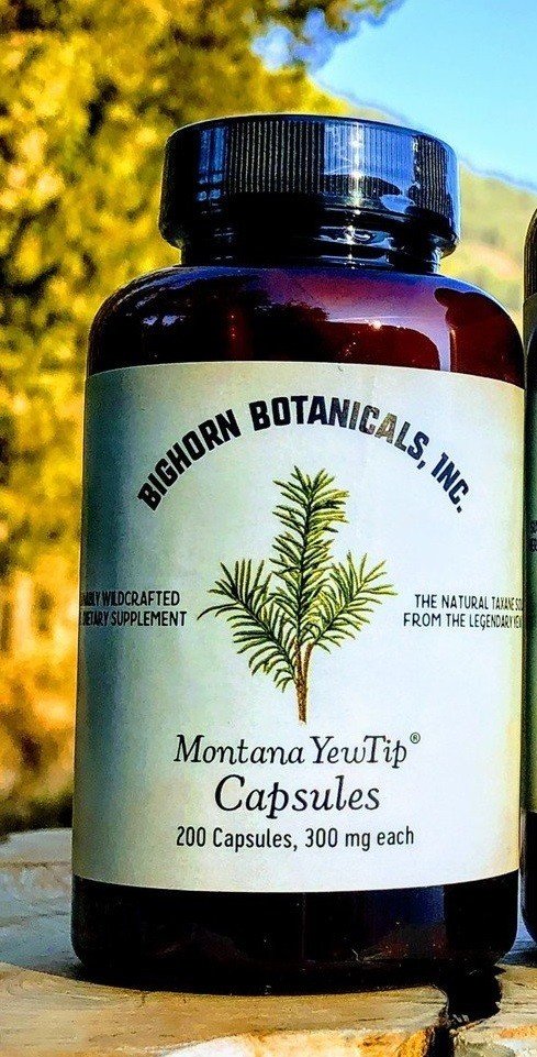 Bighorn Botanicals Montana YewTip 200 Capsule