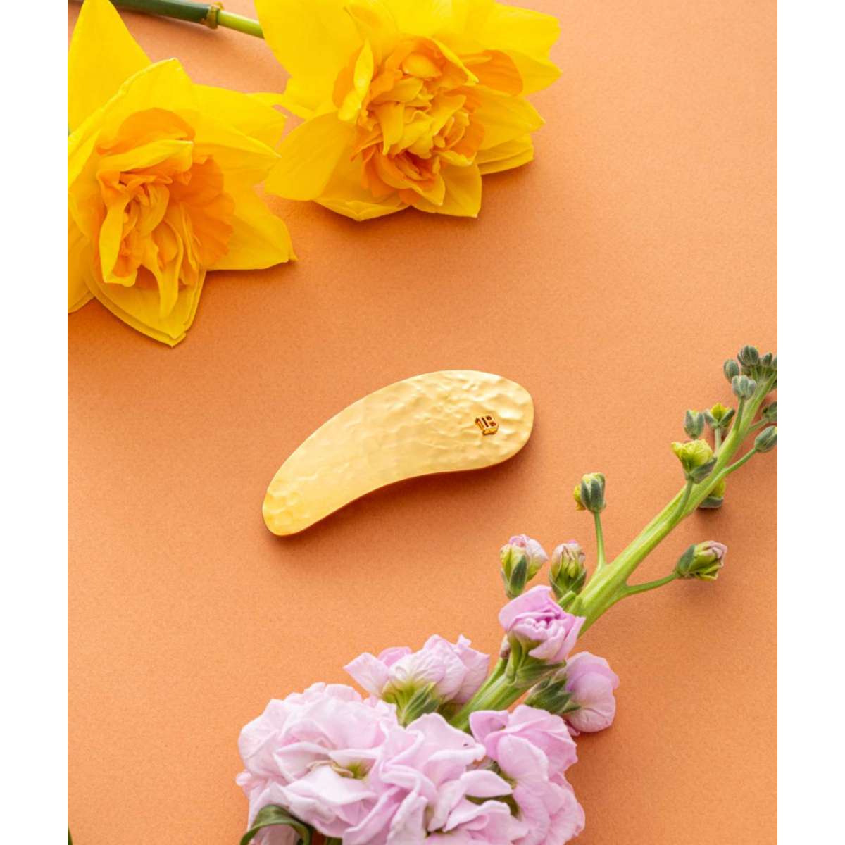 BALMAIN LE Printemps Leaf Barrette Pour Cheveux Hair clip