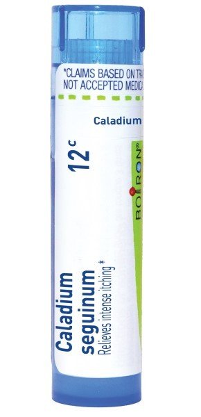 Boiron Caladium Seguinum 12C Homeopathic Single Medicine For First Aid 80 Pellet