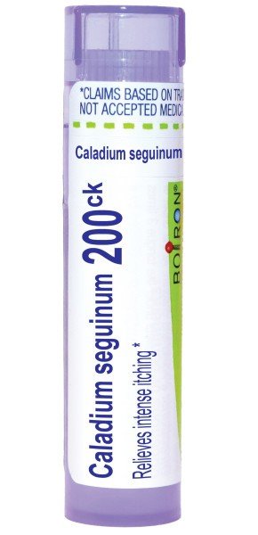 Boiron Caladium Seguinum 200CK Homeopathic Single Medicine For First Aid 80 Pellet