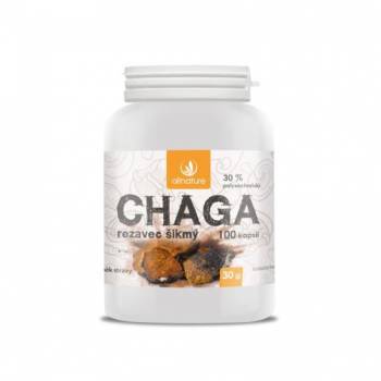 Allnature Chaga Rustic Oblique 100 capsules