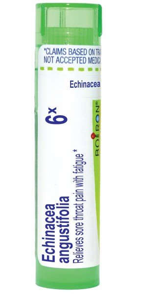 Boiron Echinacea 6X Homeopathic Single Medicine For Cough, Cold & Flu 80 Pellet