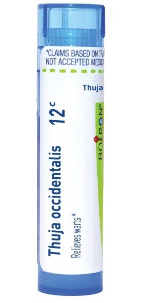Boiron Thuja Occidentalis 12C Homeopathic Single Medicine For First Aid 80 Pellet